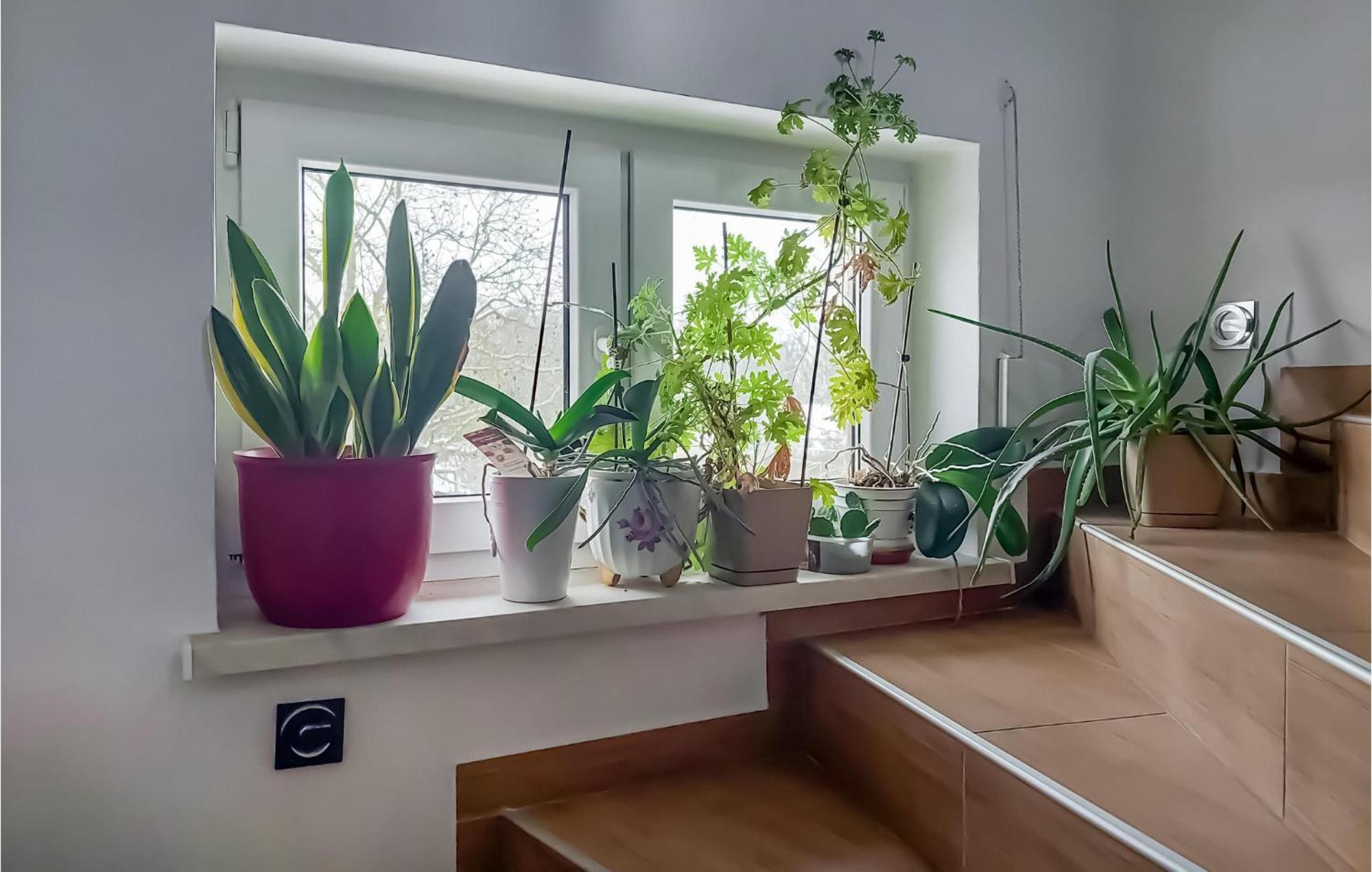 Beautiful Apartment In Moryn With Kitchen Eksteriør bilde